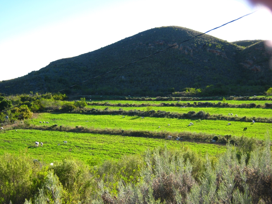 3 Bedroom Property for Sale in Joubertina Eastern Cape